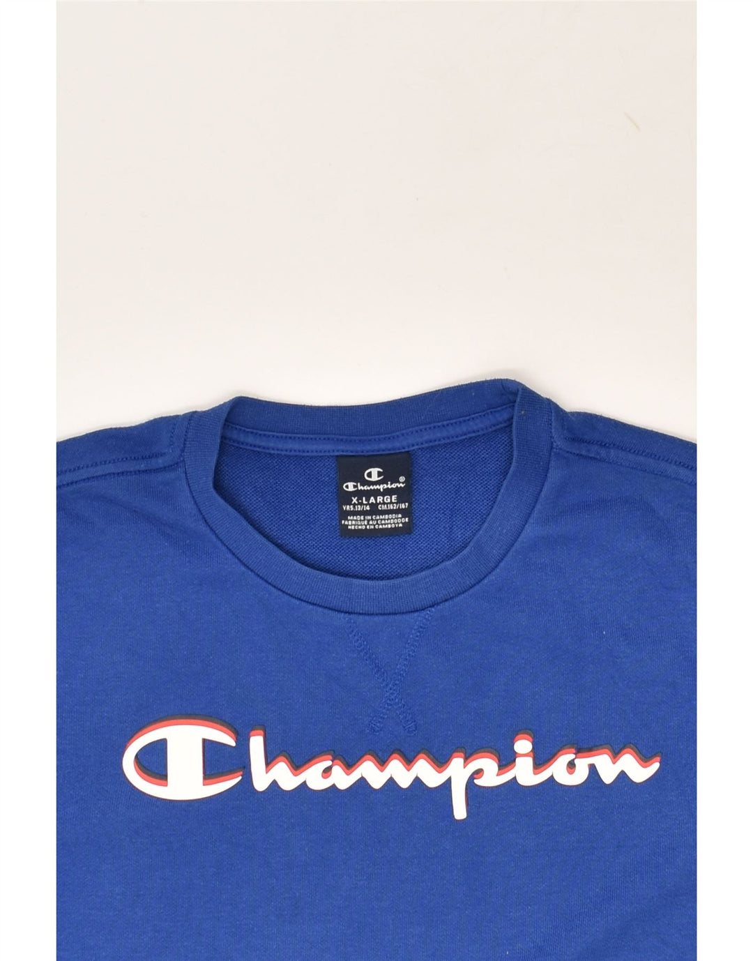 CHAMPION Boys Graphic Sweatshirt Jumper 13-14 Years XL Blue Cotton | Vintage Champion | Thrift | Second-Hand Champion | Used Clothing | Messina Hembry 