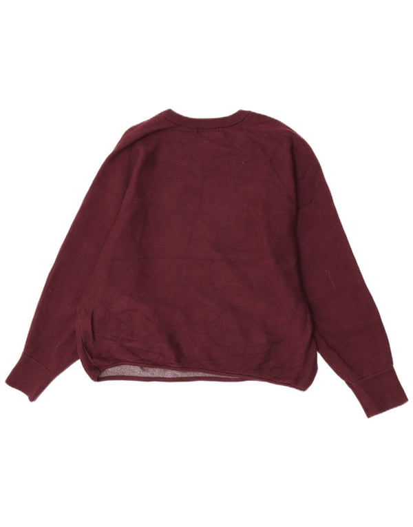 Женский джемпер с круглым вырезом и графикой Calvin Klein Jeans UK 16, большой Burg