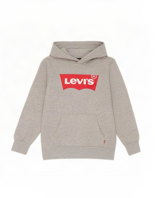 Levi's Boys Graphic Hoodie Jumper 11-12 Years Grey Flecked Cotton