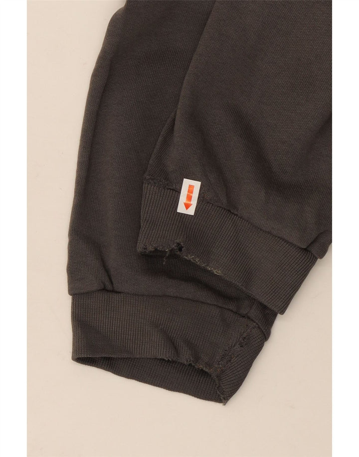 Мужской джемпер с капюшоном CHAMPION с рисунком, хлопковый, среднего серого цвета