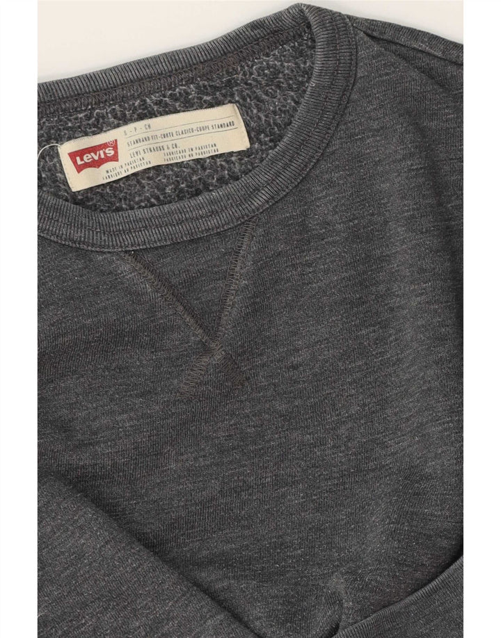 Мужской свитшот Levi's, маленький серый