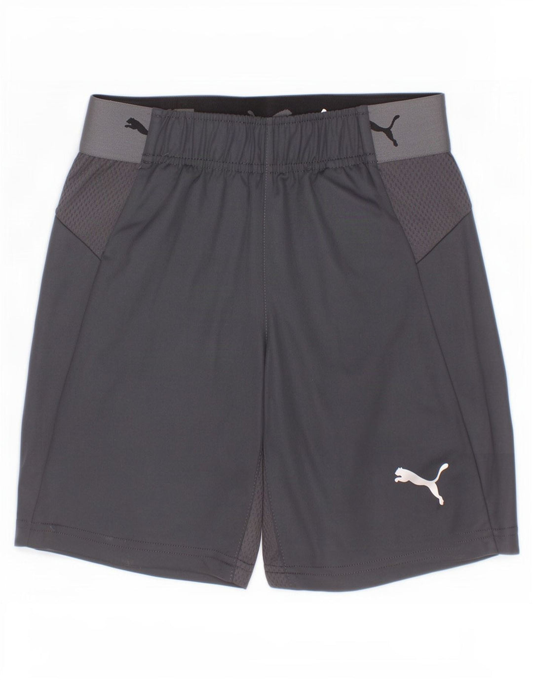 Спортивные шорты Puma для мальчиков с рисунком, 9–10 лет, серый полиэстер