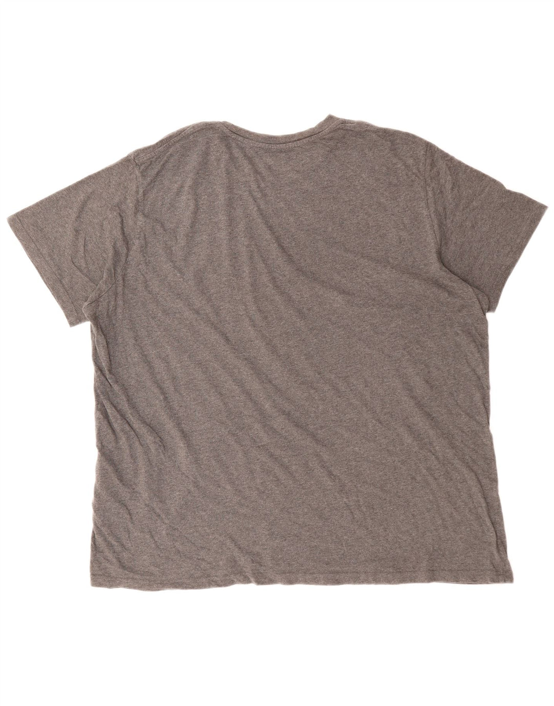 Мужская футболка с рисунком LEVI'S, 2XL, серая, хлопок