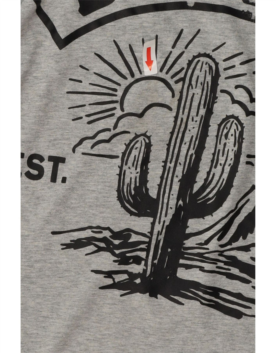 Мужская футболка с рисунком DIESEL XL, серая, хлопок