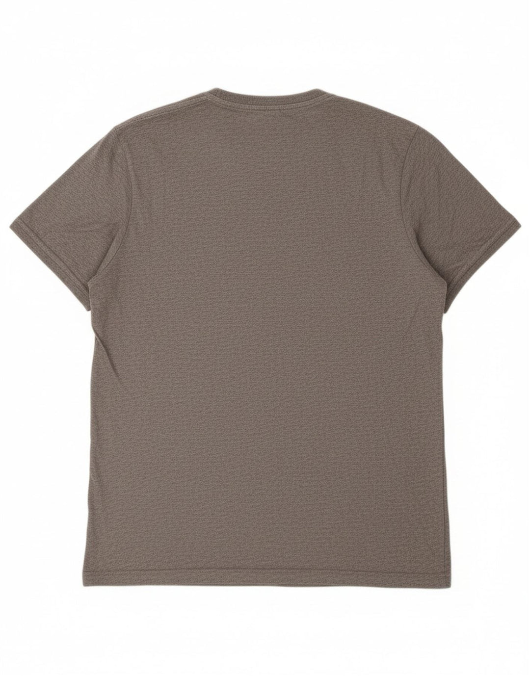 CHAMPION Mens T-Shirt Top Large Grey
