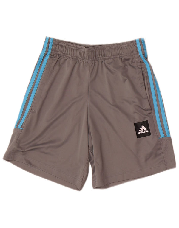 Мужские спортивные шорты Adidas Regular с графикой, маленькие серые спортивные