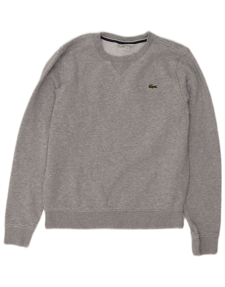 Мужской свитшот LACOSTE, джемпер, размер 2 XS, серый хлопок
