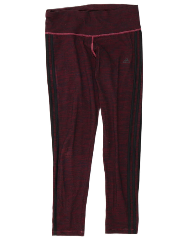 Женские леггинсы Adidas Climalite UK 12/14, хлопковый средний фиолетовый с крапинками