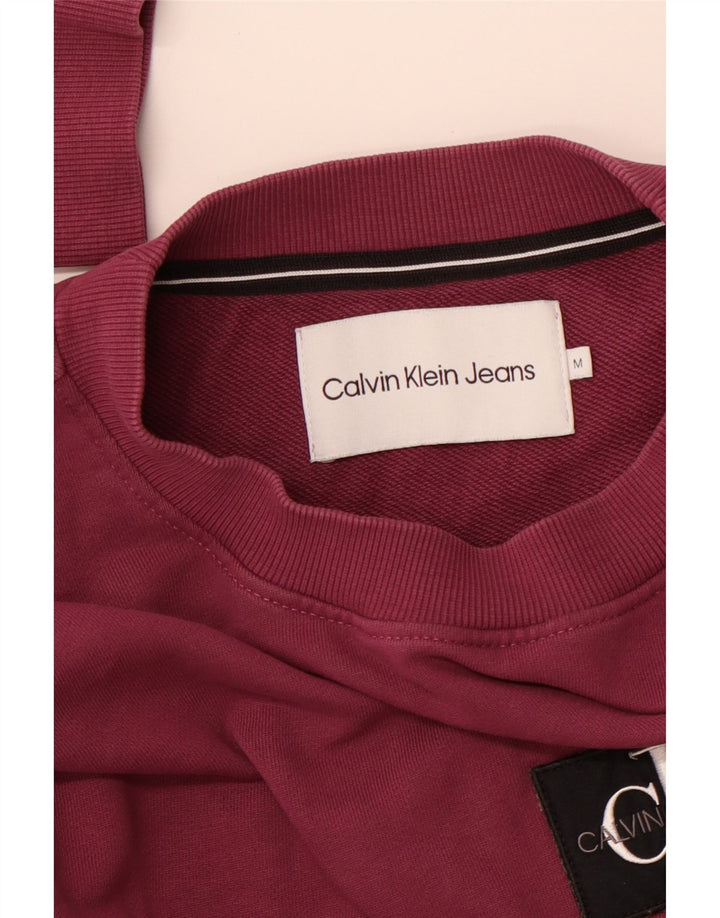 CALVIN KLEIN JEANS Мужской свитшот с рисунком, средний фиолетовый