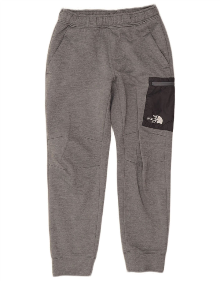 Мужские спортивные брюки-карго The North Face, джоггеры XS, серый полиэстер