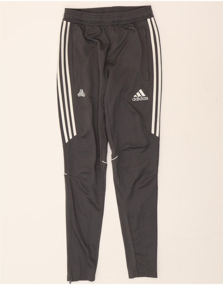 Мужские спортивные брюки Adidas XS серые из полиэстера