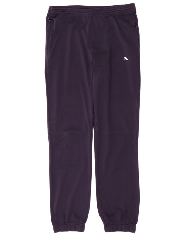Мужские спортивные брюки Puma Joggers XL темно-синие из полиэстера
