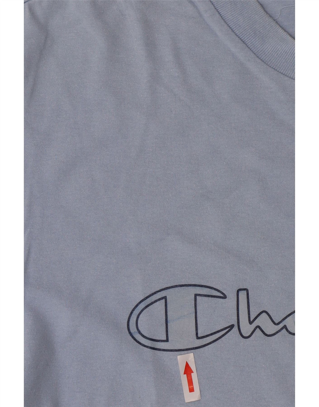 Мужская футболка с рисунком Champion, большой синий хлопок