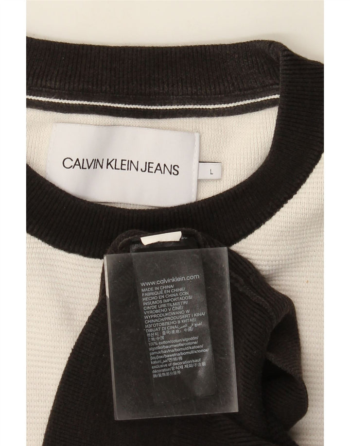Мужской свитшот с рисунком Calvin Klein Jeans, большой черный цветной блок