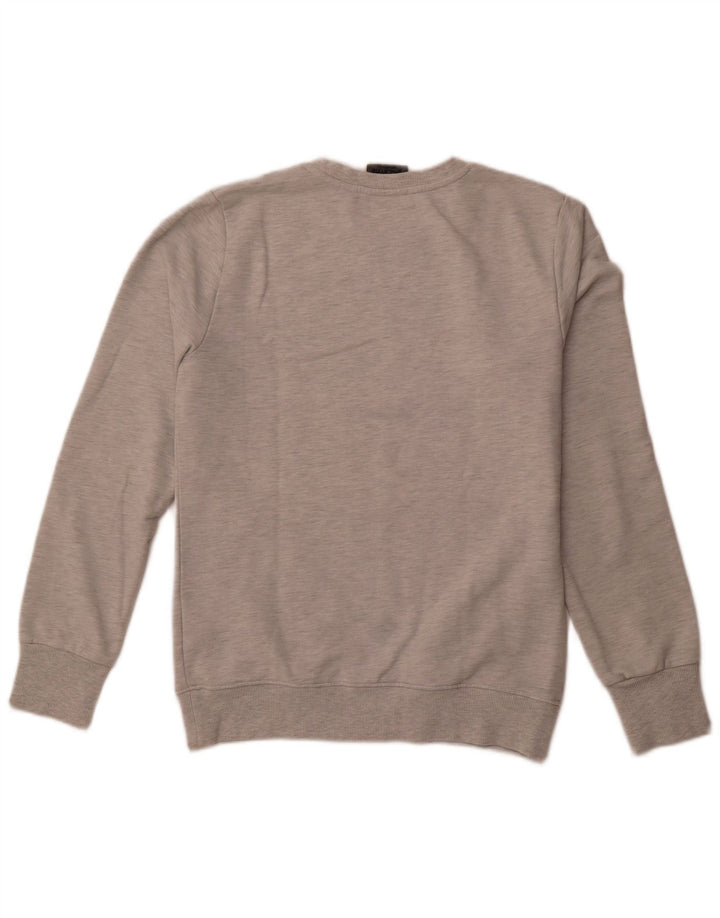 SUPERDRY Мужской свитшот с графическим рисунком, большой серый хлопковый джемпер