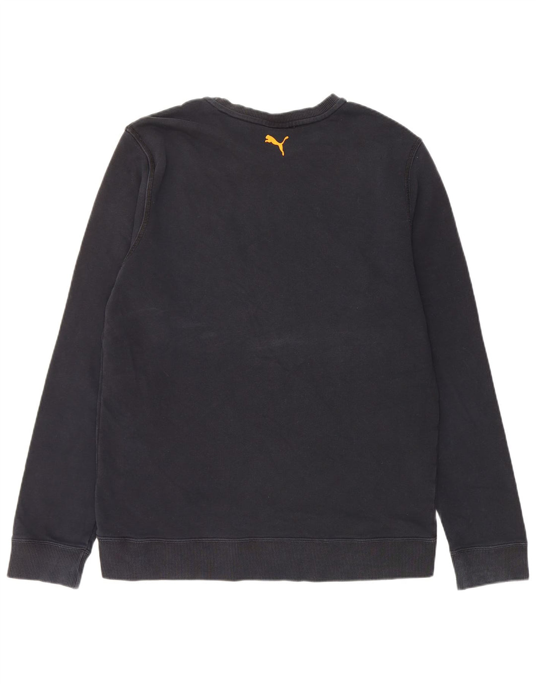 Мужской свитшот с рисунком Puma, большой темно-синий