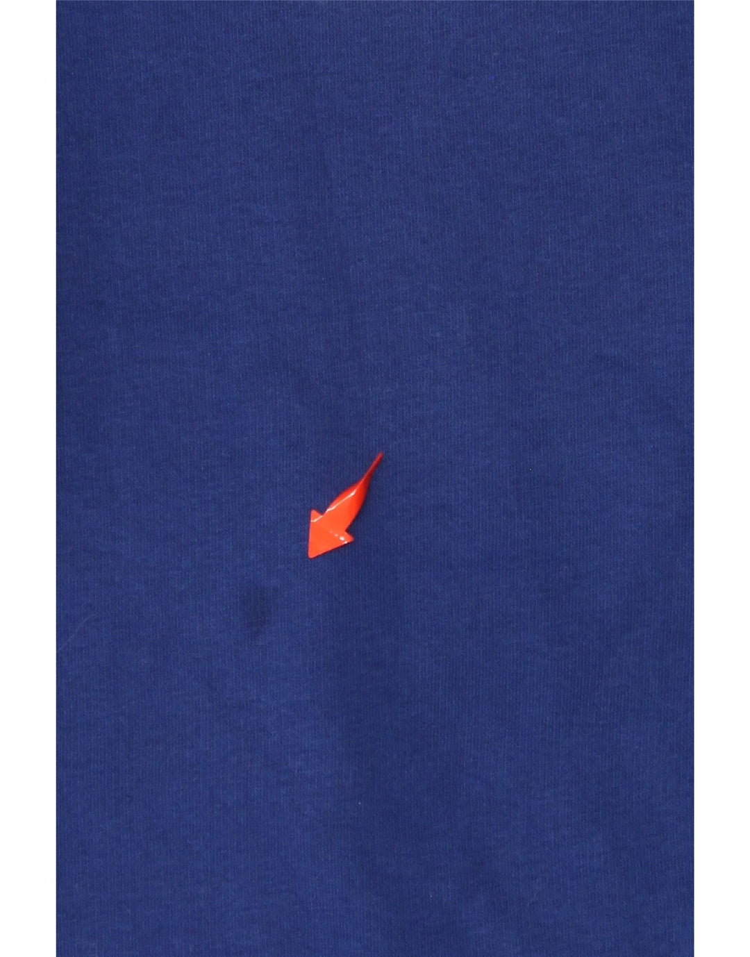 Мужской свитшот CHAMPION с рисунком, маленький синий хлопковый джемпер