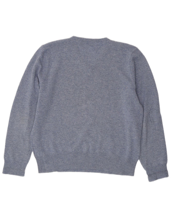 Мужской джемпер с v-образным вырезом POLO RALPH LAUREN XL, синий в крапинку из овечьей шерсти