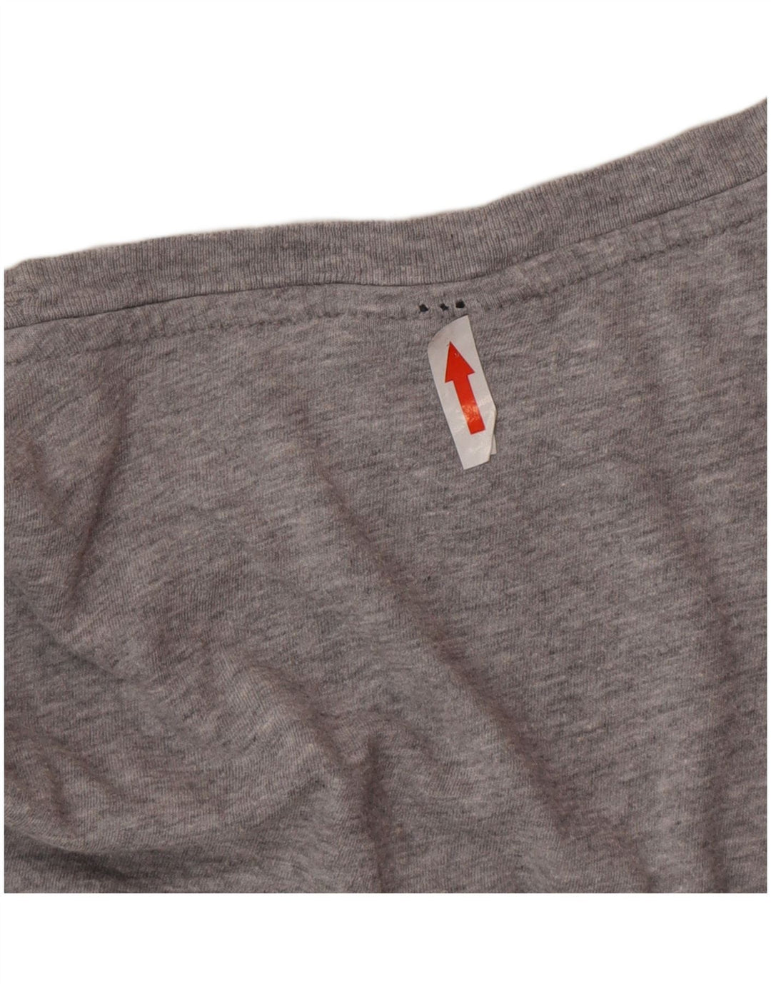 Мужская футболка с рисунком Champion Rochester, большой серый хлопок