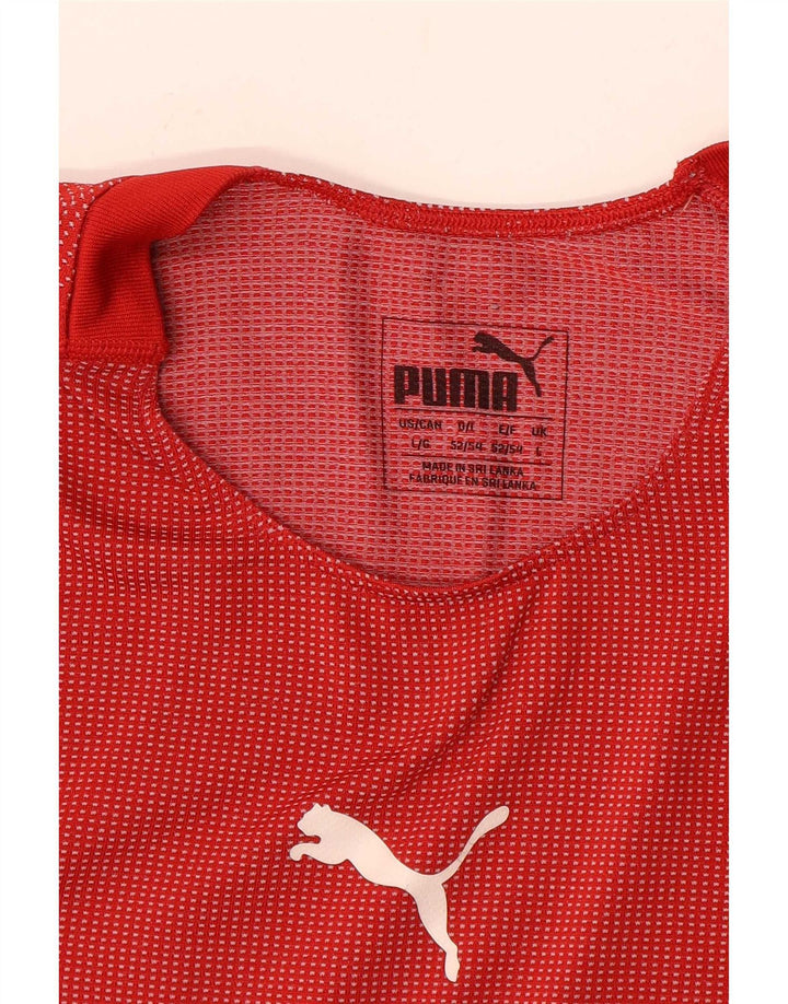 Мужская футболка с рисунком Puma, большая красная полоска