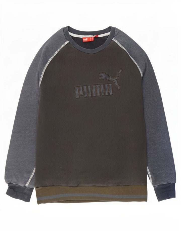 Мужской свитшот с рисунком Puma, средний темно-синий, цветной блок