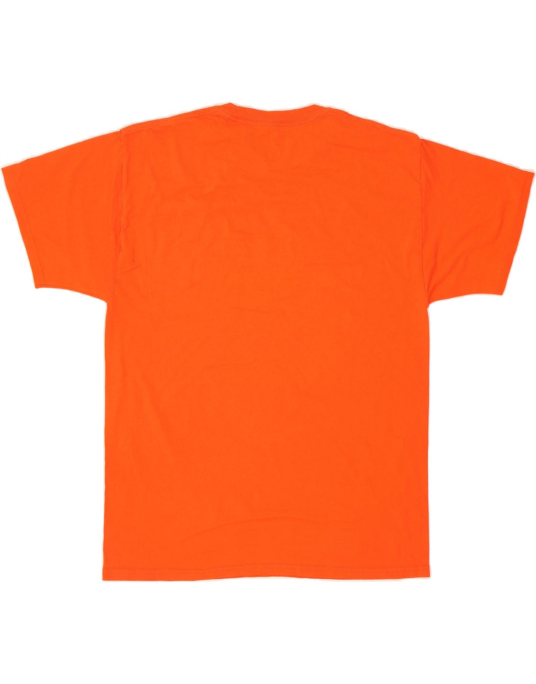 CHAMPION Mens Graphic T-Shirt Top Large Orange Cotton Vintage Champion and Second-Hand Champion from Messina Hembry 