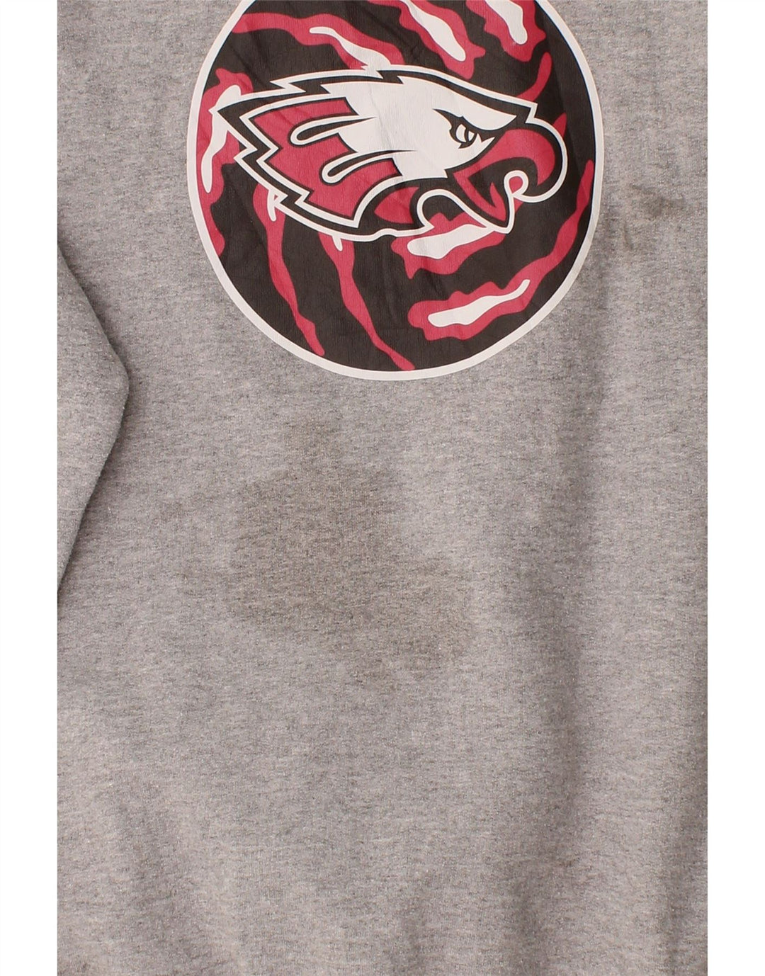 CHAMPION Mens Graphic Sweatshirt Jumper Medium Grey Vintage Champion and Second-Hand Champion from Messina Hembry 