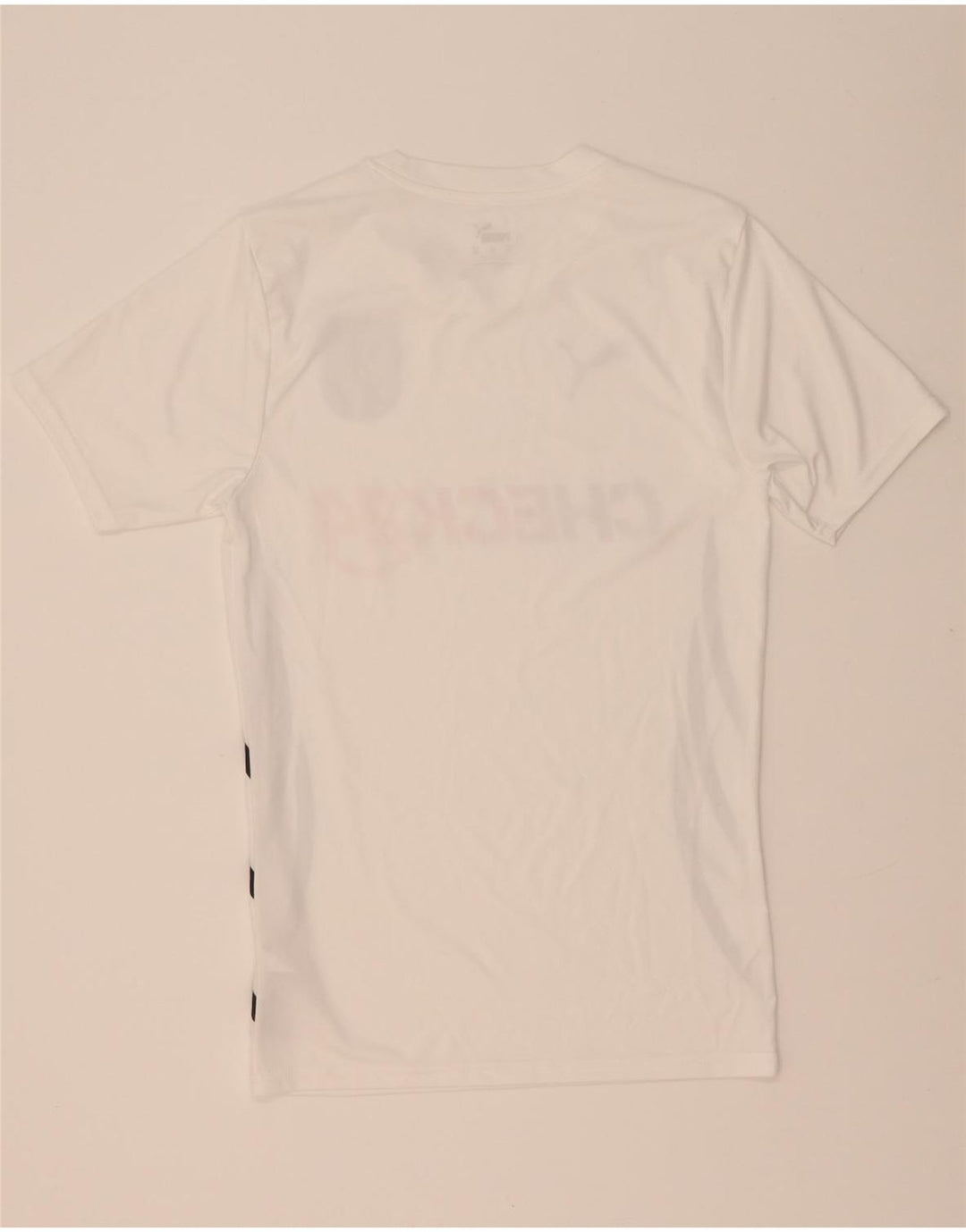 Мужская футболка с рисунком Puma Deutshland Top XS, белый полиэстер