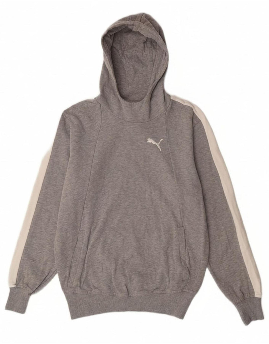 PUMA Mens Hoodie Jumper Medium Grey Colourblock