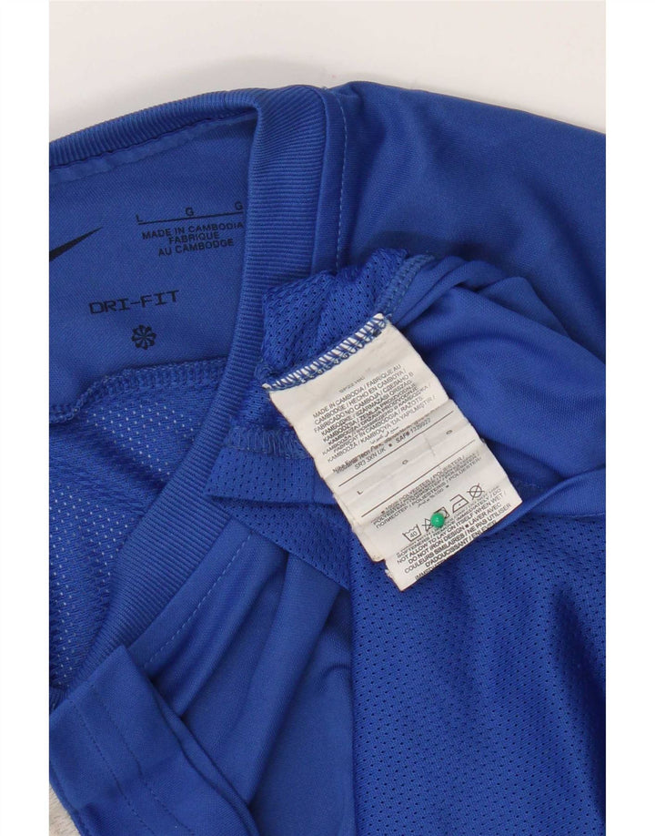 Мужская футболка Nike Dri Fit, большой синий полиэстер с цветными блоками