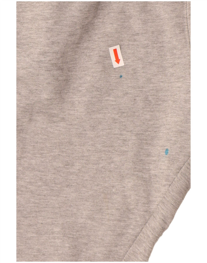 Спортивные брюки CHAMPION с рисунком, джоггеры, большие, серые