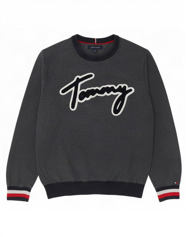Мужской свитшот с рисунком Tommy Hilfiger, большой серый хлопковый джемпер