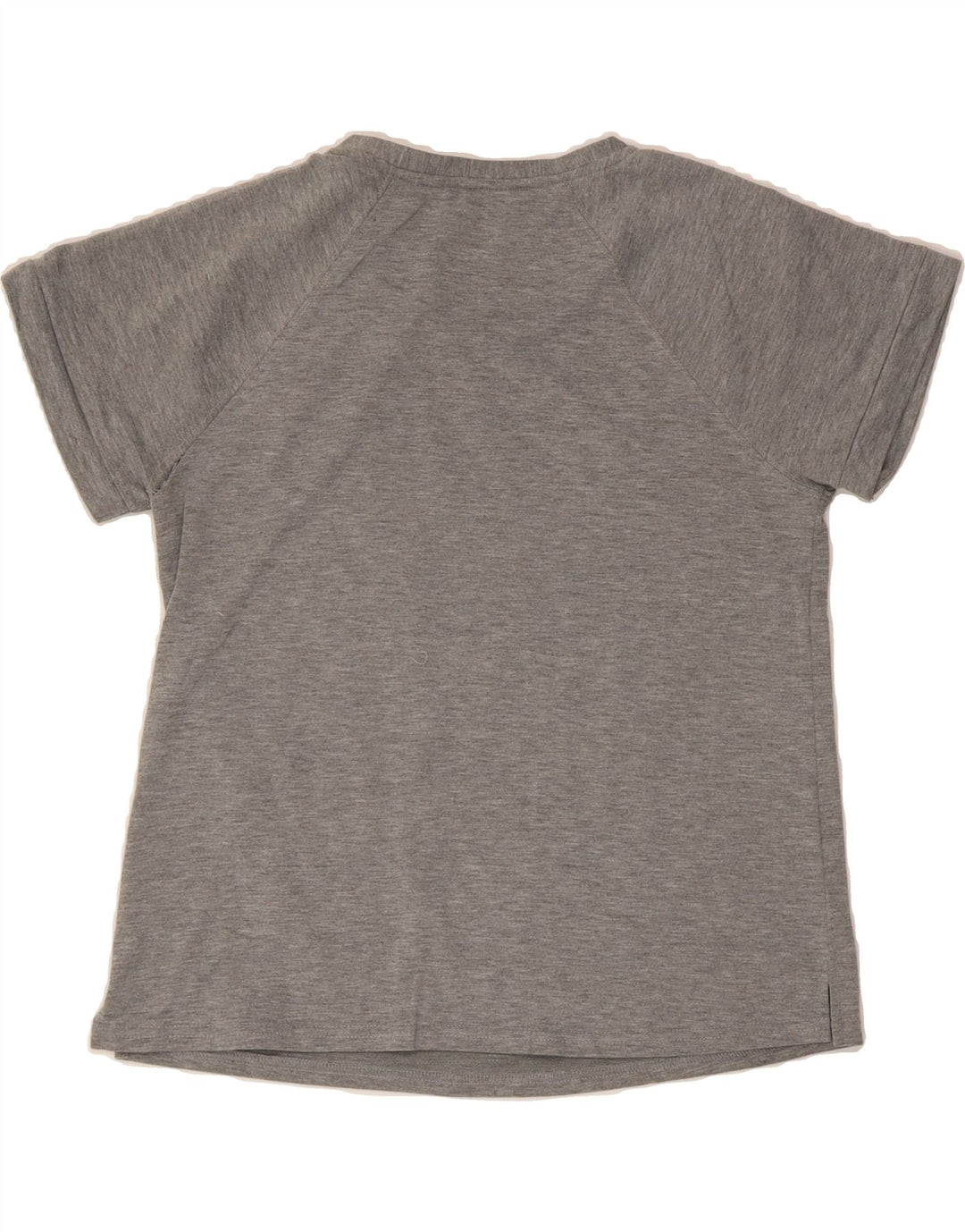 IZOD Womens Graphic T-Shirt Top UK 10 Small Grey Polyester Vintage Izod and Second-Hand Izod from Messina Hembry 