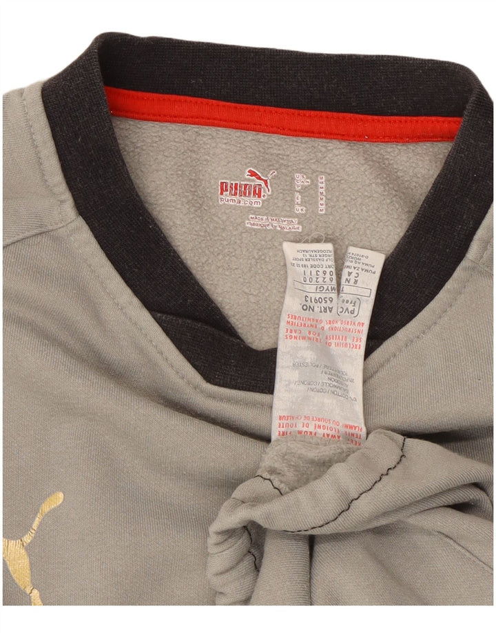 Мужской свитшот Puma, хлопковый джемпер среднего серого цвета с цветными блоками