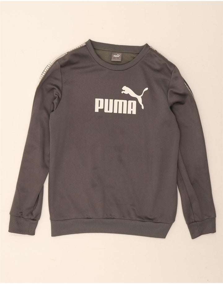 Мужской свитшот с рисунком Puma, маленький серый полиэстер