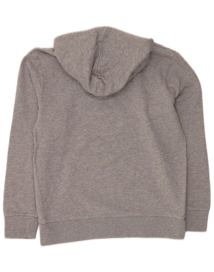 Мужской джемпер с капюшоном LEVI'S, серый, хлопковый, с рисунком
