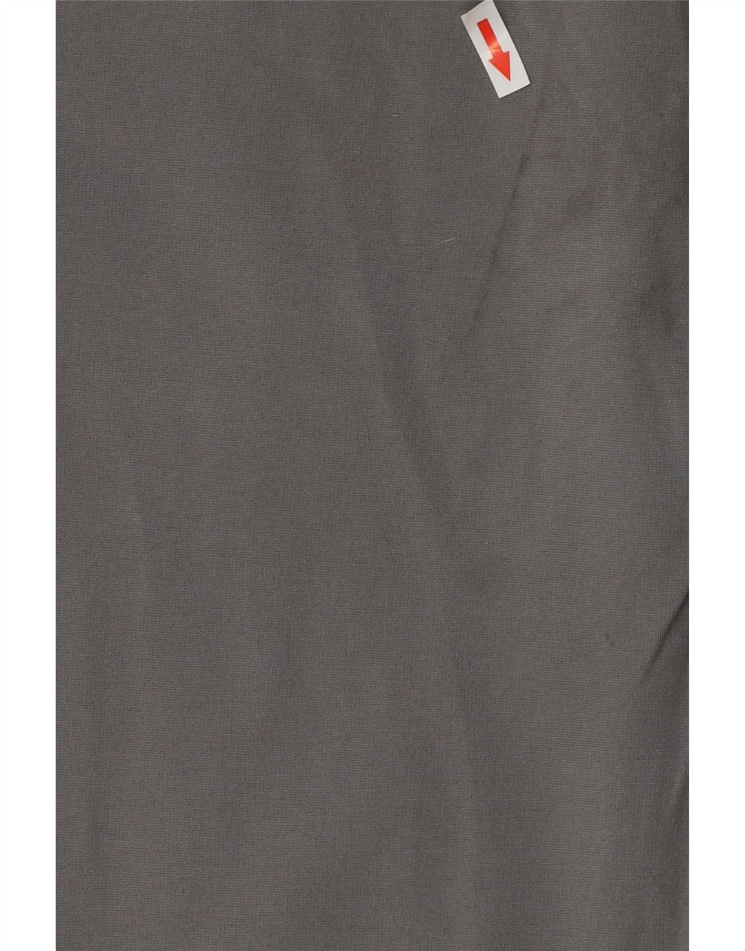 RUSSELL ATHLETIC Мужские спортивные брюки 2XL Серый полиэстер