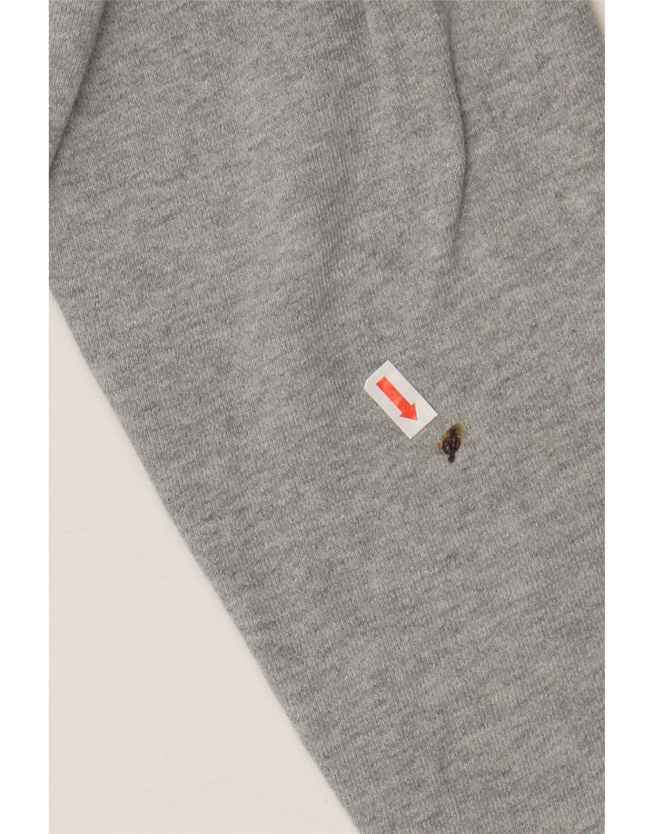 NIKE Mens Graphic Hoodie Jumper Large Grey Cotton Vintage Nike and Second-Hand Nike from Messina Hembry 