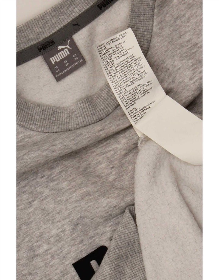 Мужской свитшот с рисунком Puma XS, серый хлопок