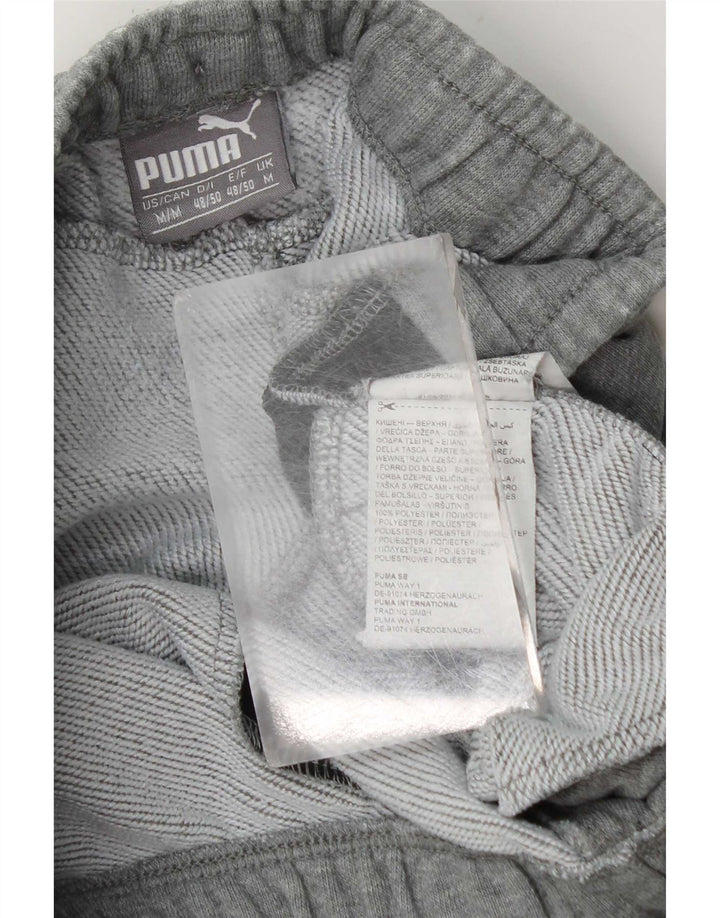 Мужские спортивные брюки с графическим рисунком Puma, джоггеры, средние серые, с цветными блоками