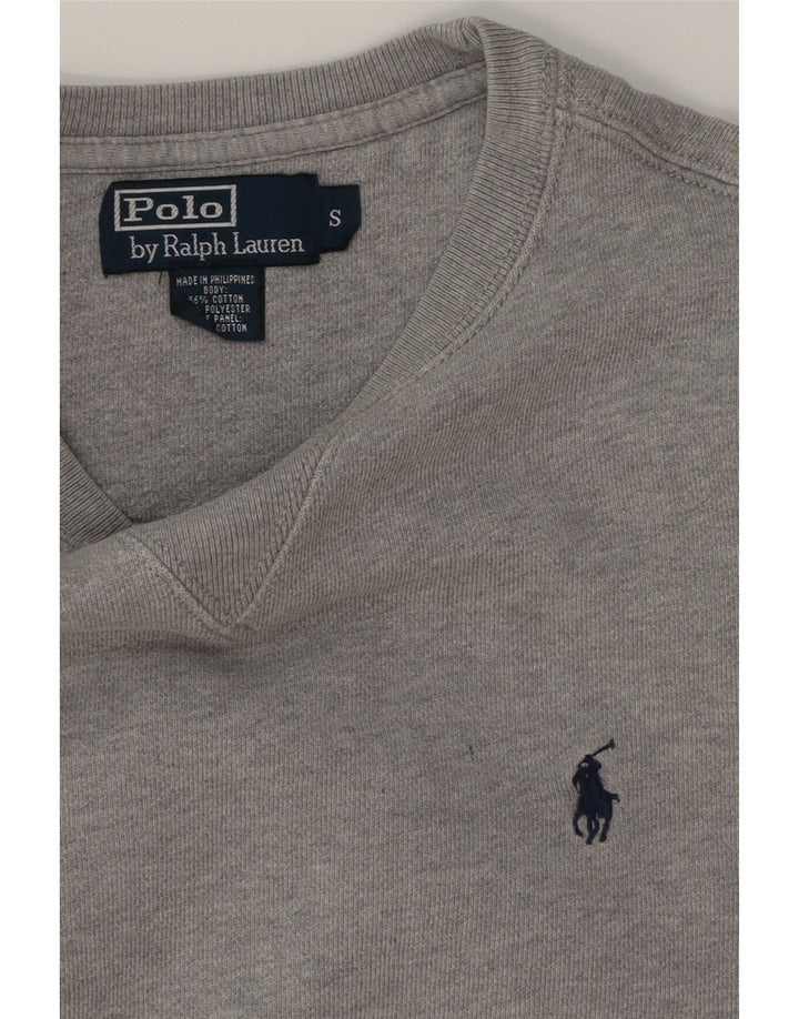 Мужской свитшот Polo Ralph Lauren, маленький серый хлопковый джемпер