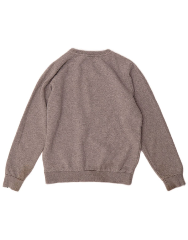Свитшот Ellesse с рисунком для мальчиков, 12-13 лет, серый хлопок