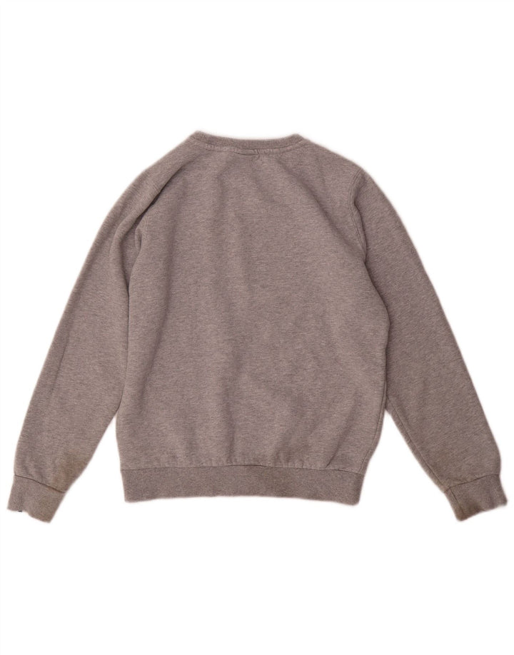 Свитшот Ellesse с рисунком для мальчиков, 12-13 лет, серый хлопок